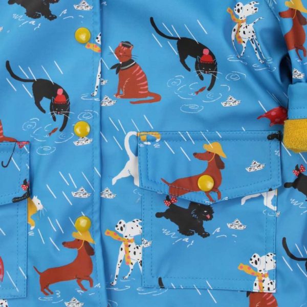 cat and dog pattern