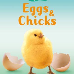 Usborne Beginners Eggs and Chicks