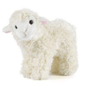 Lamb soft toy