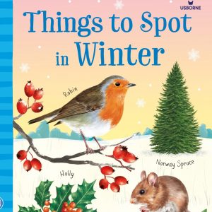 Usborne Things to spot in winter
